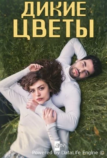 Дикие цветы